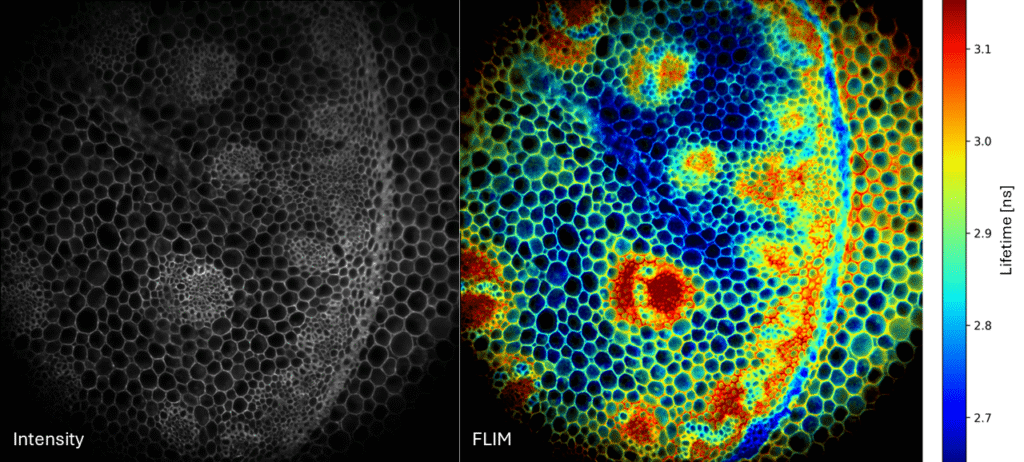 1-megapixel SPAD camera